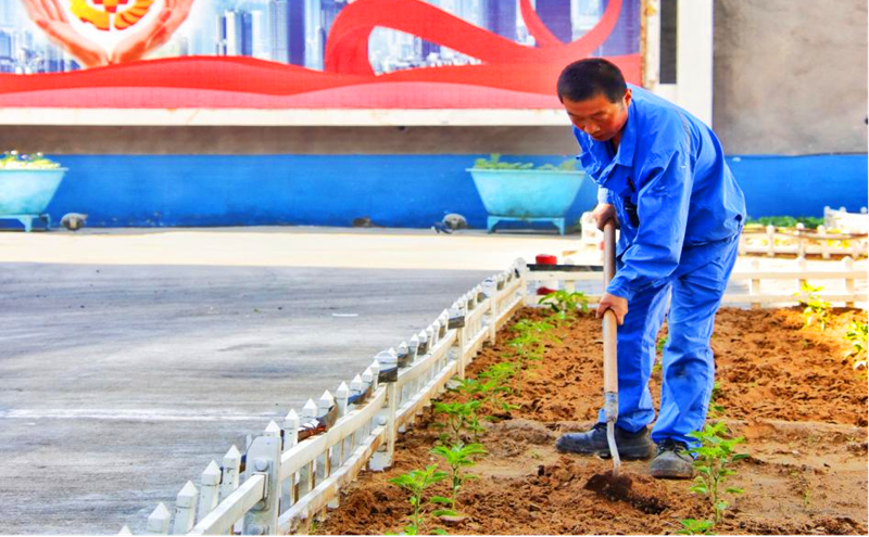 選煤公司龍華選煤廠：小菜園里種菜忙 自給自足歡樂(lè)多1.png