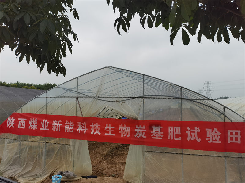三原公司：沃土肥田，生物質(zhì)炭基肥田間試驗(yàn)進(jìn)行時(shí)-1.png