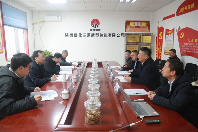省國(guó)資委、省財(cái)政廳領(lǐng)導(dǎo)蒞臨新型能源三原公司調(diào)研指導(dǎo)工作.png