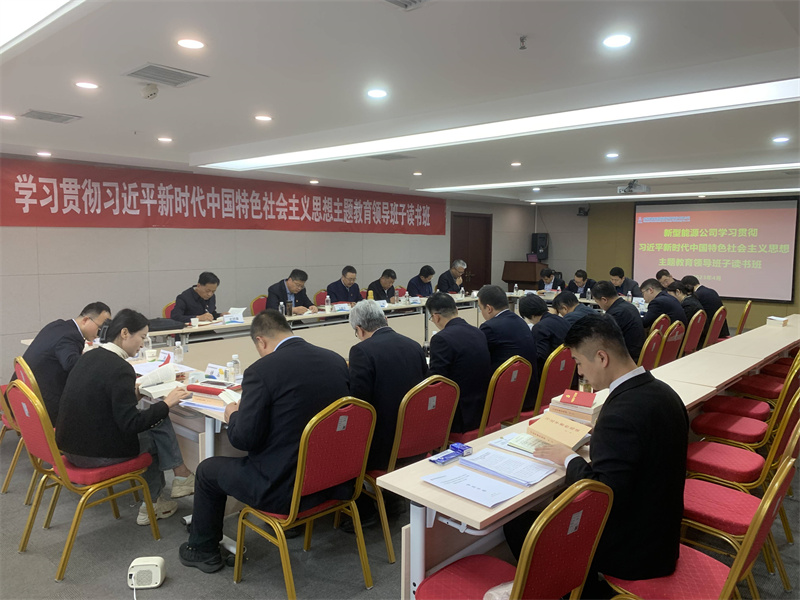 新型能源公司黨委舉辦學(xué)習(xí)貫徹習(xí)近平新時(shí)代中國(guó)特色社會(huì)主義思想主題教育領(lǐng)導(dǎo)班子讀書(shū)班